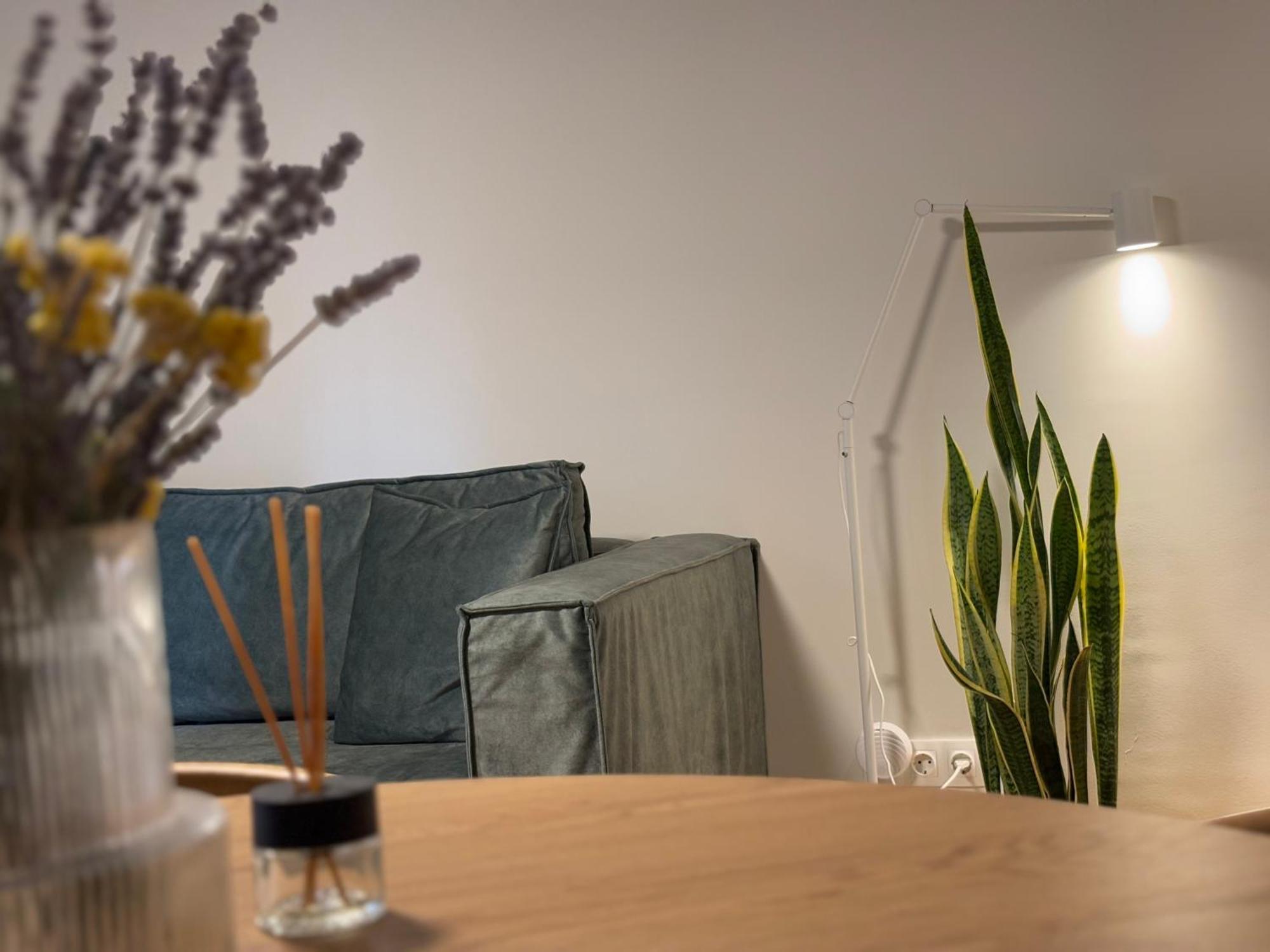 Aegis Filoppapou - Olive Apartment